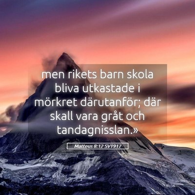 Picture 05 - Matteus 8:12 SV1917 - men rikets barn skola bliva utkastade i mörkret - Bible Verse Picture