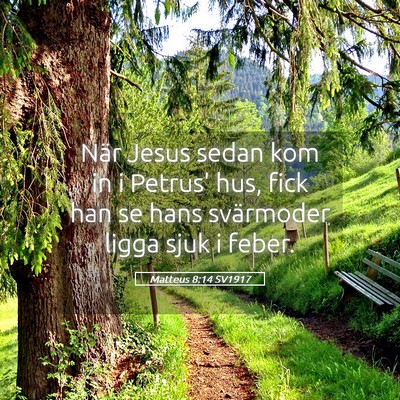 Picture 05 - Matteus 8:14 SV1917 - När Jesus sedan kom in i Petrus' hus, fick han - Bible Verse Picture