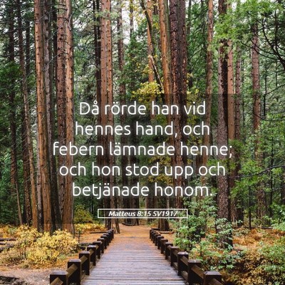 Picture 05 - Matteus 8:15 SV1917 - Då rörde han vid hennes hand, och febern - Bible Verse Picture
