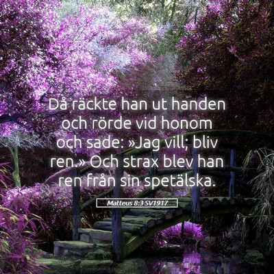 Picture 05 - Matteus 8:3 SV1917 - Då räckte han ut handen och rörde vid honom - Bible Verse Picture