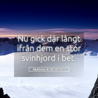 Picture 05 - Matteus 8:30 SV1917 - Nu gick där långt ifrån dem en stor svinhjord - Bible Verse Picture