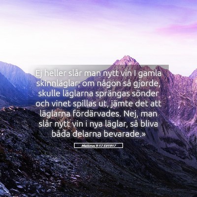 Picture 05 - Matteus 9:17 SV1917 - Ej heller slår man nytt vin I gamla - Bible Verse Picture