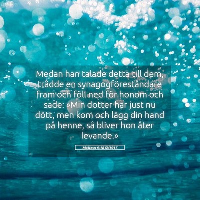 Picture 05 - Matteus 9:18 SV1917 - Medan han talade detta till dem, trädde en - Bible Verse Picture