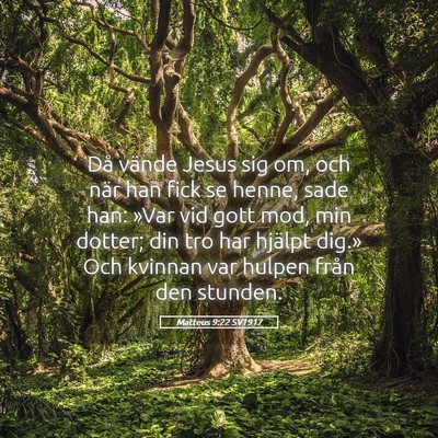 Picture 05 - Matteus 9:22 SV1917 - Då vände Jesus sig om, och när han fick se - Bible Verse Picture