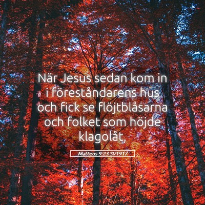 Picture 05 - Matteus 9:23 SV1917 - När Jesus sedan kom in i föreståndarens hus - Bible Verse Picture