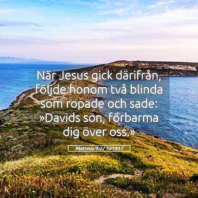 Picture 05 - Matteus 9:27 SV1917 - När Jesus gick därifrån, följde honom två - Bible Verse Picture