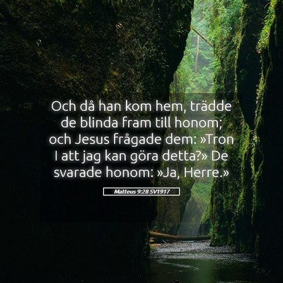 Picture 05 - Matteus 9:28 SV1917 - Och då han kom hem, trädde de blinda fram till - Bible Verse Picture