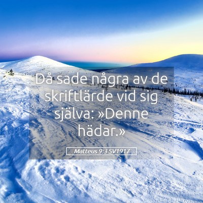 Picture 05 - Matteus 9:3 SV1917 - Då sade några av de skriftlärde vid sig - Bible Verse Picture