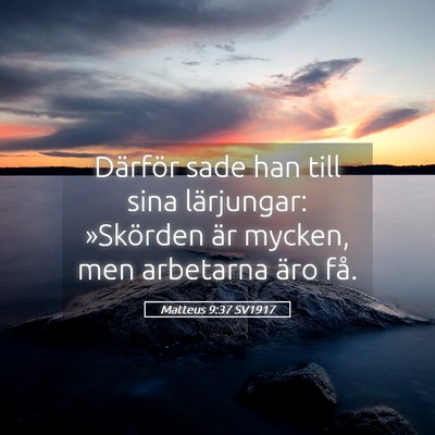 Picture 05 - Matteus 9:37 SV1917 - Därför sade han till sina lärjungar: - Bible Verse Picture
