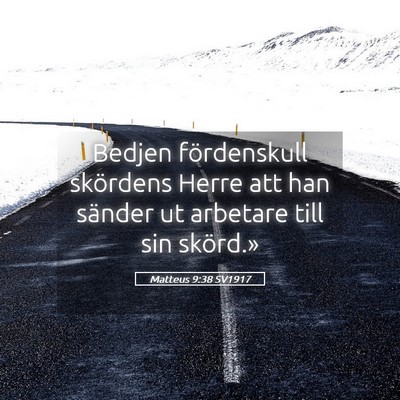 Picture 05 - Matteus 9:38 SV1917 - Bedjen fördenskull skördens Herre att han - Bible Verse Picture