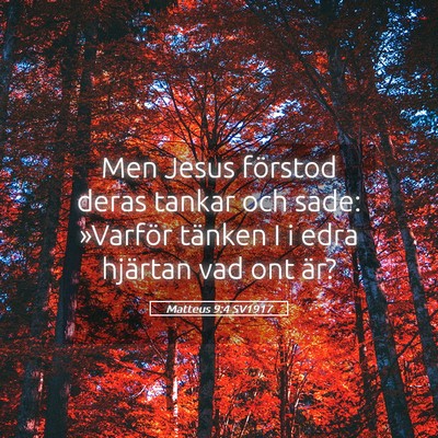 Picture 05 - Matteus 9:4 SV1917 - Men Jesus förstod deras tankar och sade: - Bible Verse Picture