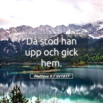 Picture 05 - Matteus 9:7 SV1917 - Då stod han upp och gick - Bible Verse Picture
