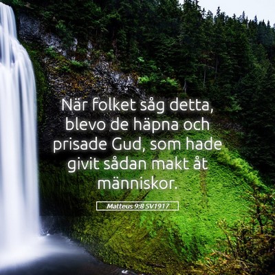 Picture 05 - Matteus 9:8 SV1917 - När folket såg detta, blevo de häpna och - Bible Verse Picture