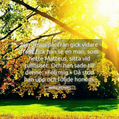 Picture 05 - Matteus 9:9 SV1917 - När Jesus därifrån gick vidare fram, fick han - Bible Verse Picture