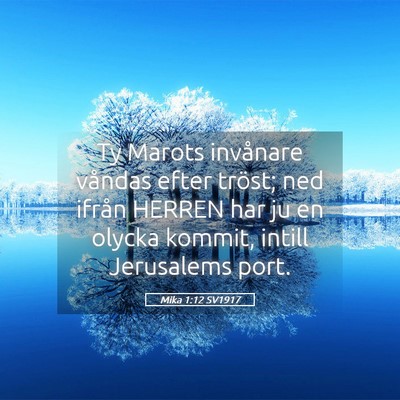 Picture 05 - Mika 1:12 SV1917 - Ty Marots invånare våndas efter tröst; ned - Bible Verse Picture