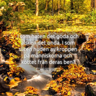 Picture 05 - Mika 3:2 SV1917 - I som haten det goda och älsken det onda, I som - Bible Verse Picture