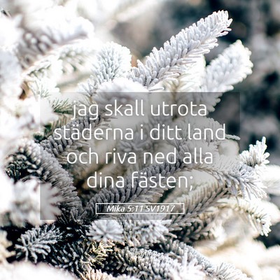 Picture 05 - Mika 5:11 SV1917 - jag skall utrota städerna i ditt land och riva - Bible Verse Picture
