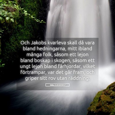 Picture 05 - Mika 5:8 SV1917 - Och Jakobs kvarleva skall då vara bland - Bible Verse Picture