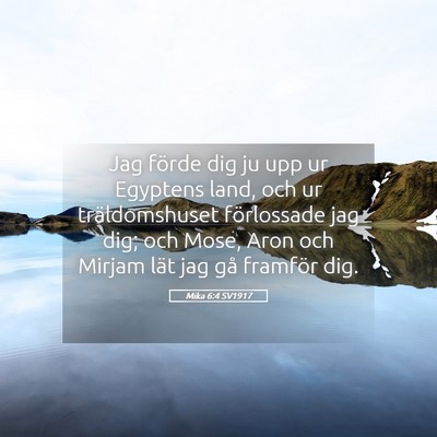 Picture 05 - Mika 6:4 SV1917 - Jag förde dig ju upp ur Egyptens land, och ur - Bible Verse Picture