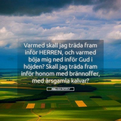 Picture 05 - Mika 6:6 SV1917 - Varmed skall jag träda fram inför HERREN, och - Bible Verse Picture