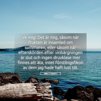 Picture 05 - Mika 7:1 SV1917 - Ve mig! Det är mig, såsom när frukten är - Bible Verse Picture