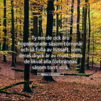 Picture 05 - Nahum 1:10 SV1917 - Ty om de ock äro hopslingrade såsom törnsnår - Bible Verse Picture