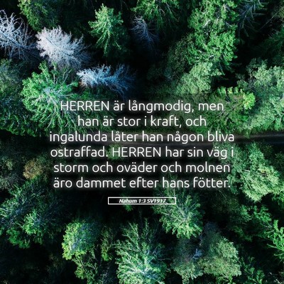 Picture 05 - Nahum 1:3 SV1917 - HERREN är långmodig, men han är stor i kraft, - Bible Verse Picture