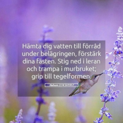 Picture 05 - Nahum 3:14 SV1917 - Hämta dig vatten till förråd under - Bible Verse Picture