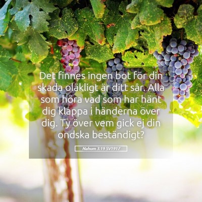 Picture 05 - Nahum 3:19 SV1917 - Det finnes ingen bot för din skada oläkligt är - Bible Verse Picture
