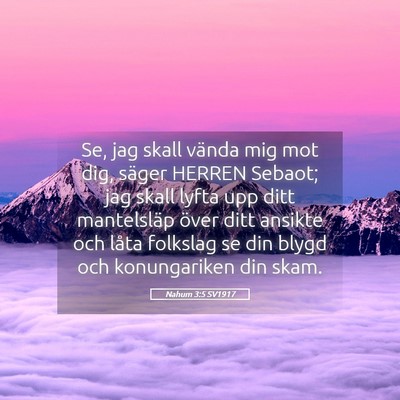 Picture 05 - Nahum 3:5 SV1917 - Se, jag skall vända mig mot dig, säger HERREN - Bible Verse Picture