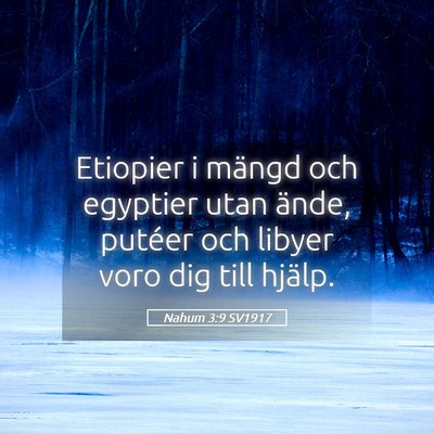 Picture 05 - Nahum 3:9 SV1917 - Etiopier i mängd och egyptier utan ände, - Bible Verse Picture
