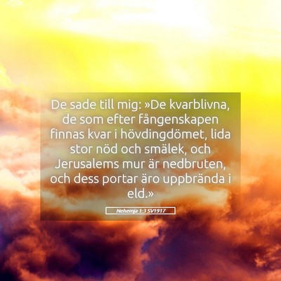 Picture 05 - Nehemja 1:3 SV1917 - De sade till mig: »De kvarblivna, de som efter - Bible Verse Picture