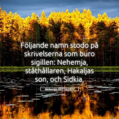 Picture 05 - Nehemja 10:1 SV1917 - Följande namn stodo på skrivelserna som buro - Bible Verse Picture