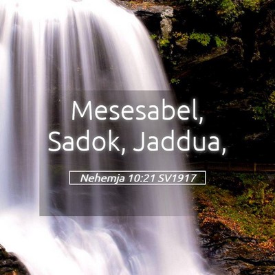 Picture 05 - Nehemja 10:21 SV1917 - Mesesabel, Sadok, - Bible Verse Picture
