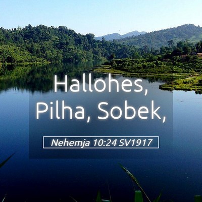 Picture 05 - Nehemja 10:24 SV1917 - Hallohes, Pilha, - Bible Verse Picture