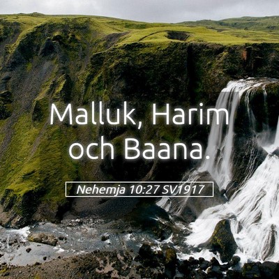 Picture 05 - Nehemja 10:27 SV1917 - Malluk, Harim och - Bible Verse Picture