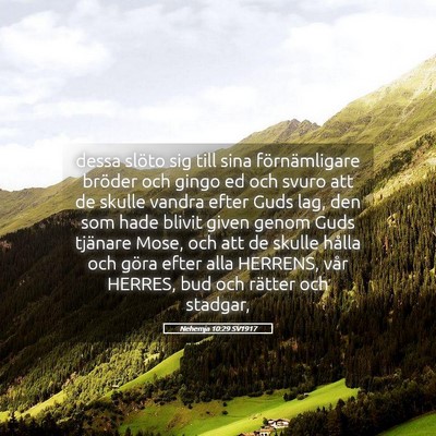 Picture 05 - Nehemja 10:29 SV1917 - dessa slöto sig till sina förnämligare bröder - Bible Verse Picture