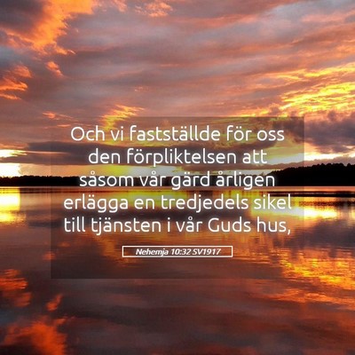 Picture 05 - Nehemja 10:32 SV1917 - Och vi fastställde för oss den förpliktelsen - Bible Verse Picture
