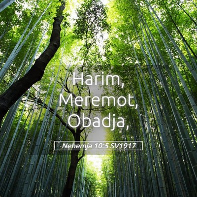Picture 05 - Nehemja 10:5 SV1917 - Harim, Meremot, - Bible Verse Picture