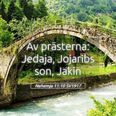 Picture 05 - Nehemja 11:10 SV1917 - Av prästerna: Jedaja, Jojaribs son, - Bible Verse Picture