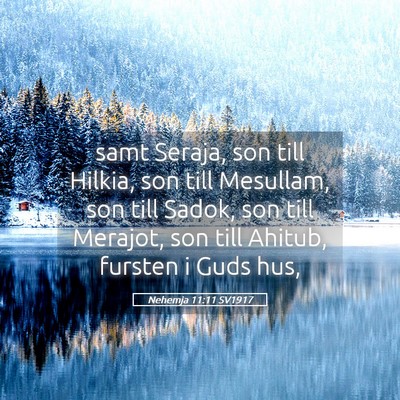 Picture 05 - Nehemja 11:11 SV1917 - samt Seraja, son till Hilkia, son till Mesullam, - Bible Verse Picture