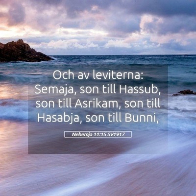 Picture 05 - Nehemja 11:15 SV1917 - Och av leviterna: Semaja, son till Hassub, son - Bible Verse Picture