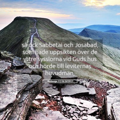 Picture 05 - Nehemja 11:16 SV1917 - så ock Sabbetai och Josabad, som hade uppsikten - Bible Verse Picture