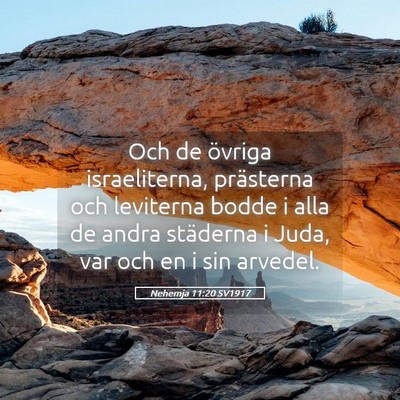 Picture 05 - Nehemja 11:20 SV1917 - Och de övriga israeliterna, prästerna och - Bible Verse Picture