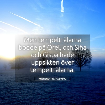 Picture 05 - Nehemja 11:21 SV1917 - Men tempelträlarna bodde på Ofel, och Siha och - Bible Verse Picture
