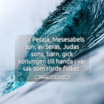 Picture 05 - Nehemja 11:24 SV1917 - Och Petaja, Mesesabels son, av Seras, Judas sons, - Bible Verse Picture