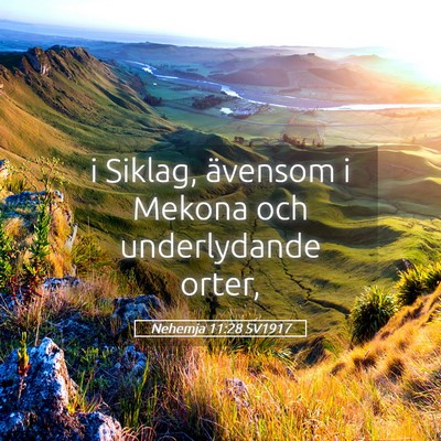 Picture 05 - Nehemja 11:28 SV1917 - i Siklag, ävensom i Mekona och underlydande - Bible Verse Picture