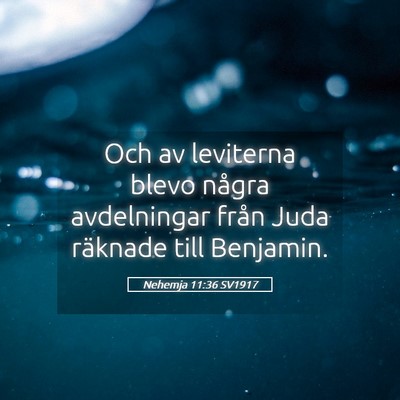 Picture 05 - Nehemja 11:36 SV1917 - Och av leviterna blevo några avdelningar från - Bible Verse Picture