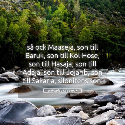 Picture 05 - Nehemja 11:5 SV1917 - så ock Maaseja, son till Baruk, son till - Bible Verse Picture