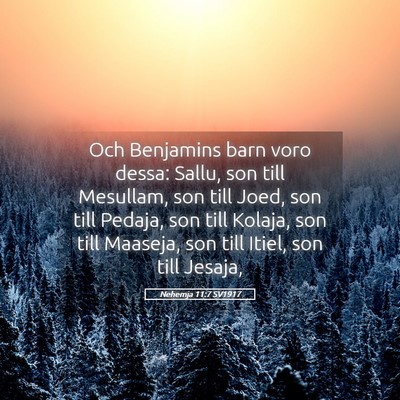 Picture 05 - Nehemja 11:7 SV1917 - Och Benjamins barn voro dessa: Sallu, son till - Bible Verse Picture